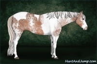 Horse Color:White Spotted Silver Brown Ice Splash Tobiano