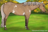 Horse Color:White Spotted Silver Bay Dun Frame