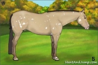 Horse Color:White Spotted Classic Champagne Dun 