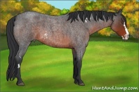 Horse Color:White Spotted Brown Roan Splash Frame 