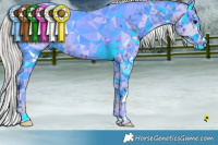 Horse Color:Silver Brown Appaloosa 