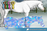 Horse Color:Silver Brown Appaloosa