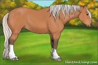 Horse Color:Silver Bay