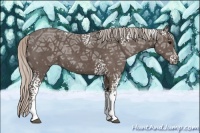 Horse Color:White Spotted Silver Black Ice