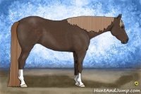 Horse Color:Liver Chestnut 