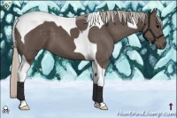 Horse Color:Silver Black Tobiano