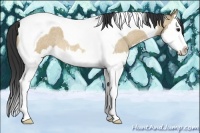 Horse Color:Bay Roan Dun Splash Tobiano