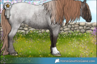 Horse Color:Liver Red Roan