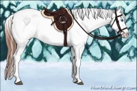 Horse Color:Bay Dun Splash Tobiano Appaloosa 