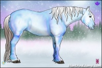 Horse Color:Brown Roan Tobiano Snowflake Varnish