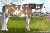 Horse Color:White Spotted Buckskin Roan Splash 
