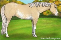 Horse Color:White Spotted Silver Classic Champagne Dun Splash Rabicano 
