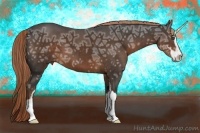 Horse Color:Liver Chestnut Ice Sabino 