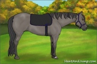 Horse Color:Smoky Grullo Roan 