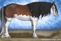 Horse Color:Brown Splash