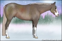 Horse Color:Silver Black Sabino 
