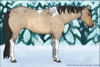 Horse Color:Buckskin Roan Dun Tobiano