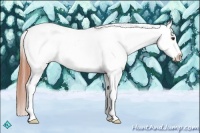 Horse Color:Classic Champagne Tobiano Frame Varnish