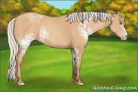 Horse Color:White Spotted Silver Amber Champagne Splash 