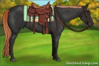 Horse Color:Liver Chestnut Frame 