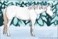 Horse Color:Amber Cream Champagne Splash Tobiano Appaloosa 