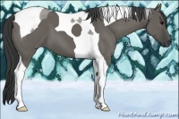 Horse Color:Grullo Tobiano 