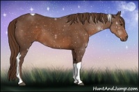 Horse Color:Liver Chestnut Tobiano Rabicano 