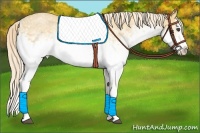 Horse Color:White Spotted Palomino Splash 