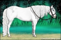 Horse Color:Silver Classic Champagne Pearl Dun Splash Tobiano Varnish Rabicano 