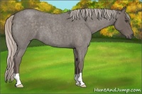Horse Color:Silver Blue Roan 