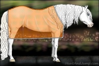 Horse Color:Perlino Appaloosa 