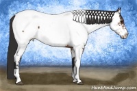 Horse Color:Bay Tobiano Appaloosa Rabicano 