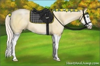 Horse Color:Silver Classic Champagne Pearl Dun Splash Rabicano
