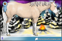 Horse Color:Silver Classic Champagne Dun Splash Rabicano 