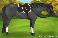 Horse Color:Smoky Blue Roan 