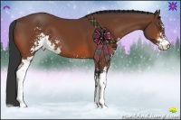 Horse Color:Bay Sabino