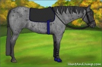 Horse Color:Smoky Blue Roan 