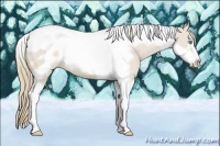Horse Color:Smoky Creme Roan Tobiano Frame 