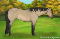 Horse Color:Bay Roan Dun