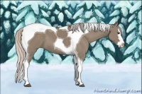 Horse Color:Silver Grullo Splash Tobiano 