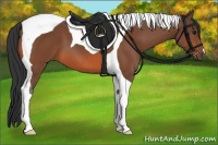 Horse Color:Bay Tobiano 