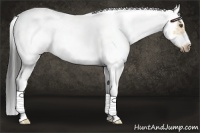 Horse Color:White Spotted Buckskin Dun Splash Tobiano Frame Rabicano 