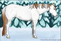 Horse Color:White Spotted Red Dun Roan Tobiano