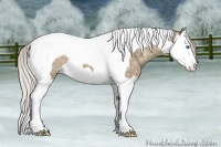 Horse Color:Silver Grullo Ice Splash Tobiano