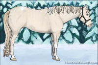Horse Color:Perlino Tobiano Brindle