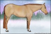 Horse Color:Red Dun 