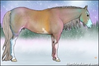 Horse Color:Silver Grullo Sabino 