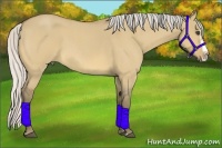 Horse Color:Silver Buckskin Roan Dun Splash Frame Rabicano 