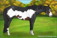 Horse Color:Brown Frame 