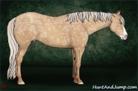 Horse Color:Silver Classic Champagne Ice Splash Frame